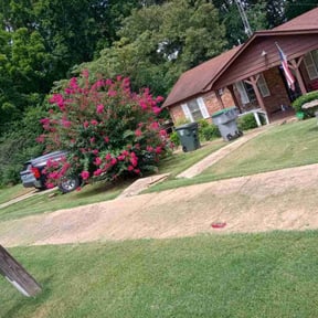 Bush Trimming by Edgar reviewed on August 16, 2025