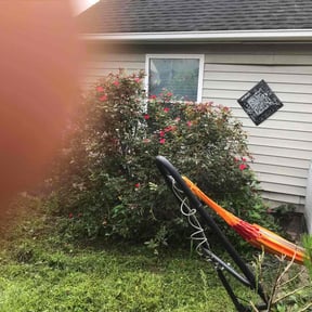 Bush Trimming by Fordson Lawn Care reviewed on August 17, 2025
