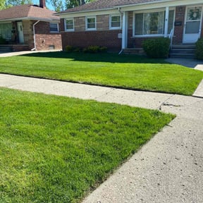 landscape maintenance by Davino Handy Services reviewed on August 16, 2025