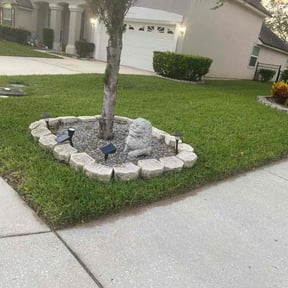 yard maintenance by Green thumb lawn reviewed on August 20, 2025