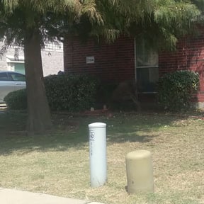 Bush Trimming by WolfPack Lawn Care reviewed on August 18, 2025