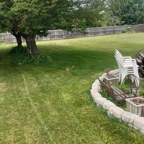 turf care by Keep It Cut Lawn Services reviewed on April 17, 2024