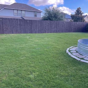 yard care by Philipp's Property Maintenance LLC reviewed on August 20, 2025