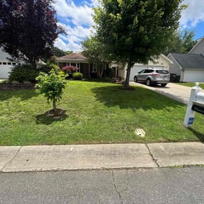 landscape maintenance by Tammy Becker Pool and Lawn Care reviewed on August 15, 2025