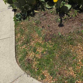 Flower Bed Weeding by Eric's lawn care Inc. reviewed on May 17, 2026