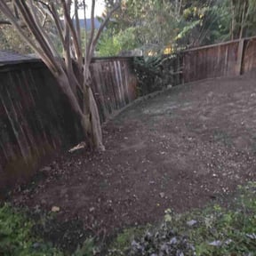 Leaf Removal by FLGrassSpa reviewed on September 12, 2025