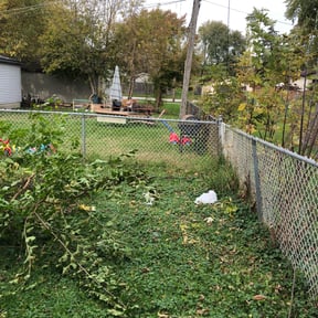 Bush Trimming by T F Lawn Care Services reviewed on August 20, 2025