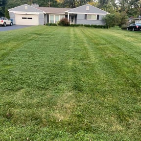 lawn care services by N & C Enterprise LC reviewed on August 19, 2023