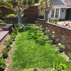 lawn service by Leneirs Landscaping reviewed on August 18, 2025