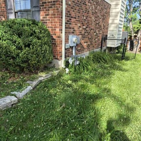 Bush Trimming by Lampkin Lawn & More reviewed on August 21, 2025