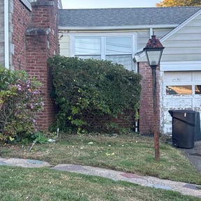 Bush Trimming by Mighty Mowing Yard Rangers reviewed on October 21, 2025