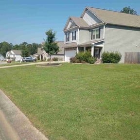 lawn care by La palmera reviewed on August 19, 2025