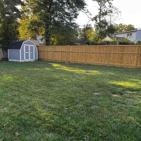 turf maintenance by Y&R reviewed on May 7, 2025