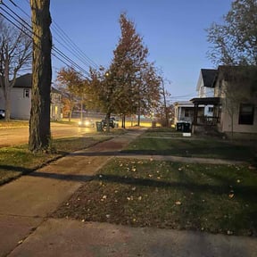 Leaf Removal by Double F Lawns reviewed on November 22, 2025