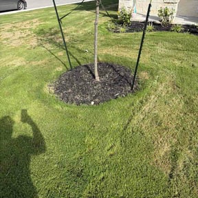 Flower Bed Weeding by Sow Wisely Lawn Care reviewed on July 21, 2026