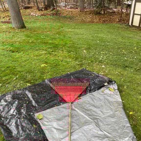 Leaf Removal by Ilene’s Cleanings! (home and lawn services) reviewed on November 24, 2025