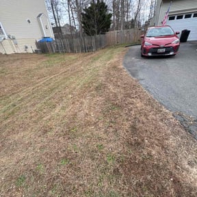 Leaf Removal by We like grass reviewed on December 16, 2025