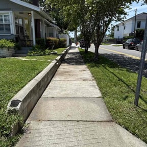 yard service by LUR. reviewed on August 19, 2025