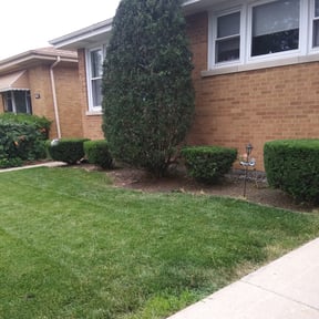 Bush Trimming by Achilles Lawncare reviewed on August 18, 2025
