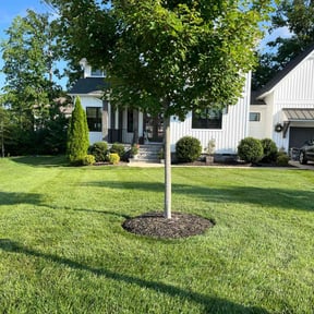 lawn care by CRP Landscape reviewed on August 16, 2025