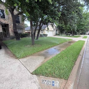 yard work by Hickmon Homes LLC reviewed on August 19, 2025