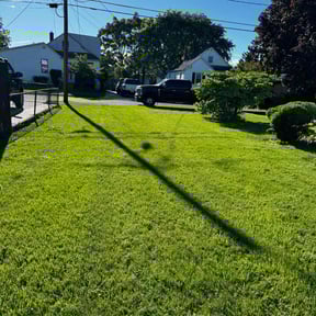 yard maintenance by Knowledge As A Service Company reviewed on August 16, 2025