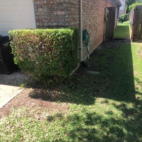 Bush Trimming by MJ's landscaping reviewed on August 17, 2025