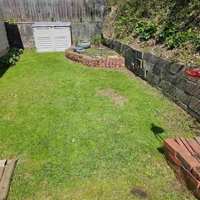 Leaf Removal by GrassFX Lawn Care reviewed on April 17, 2026