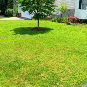 gardening service by Saving Grace Services Dba reviewed on October 19, 2025