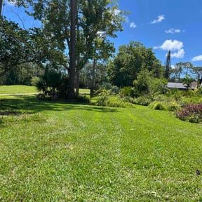 yard maintenance by Stuff lawn maintenance llc reviewed on November 24, 2025