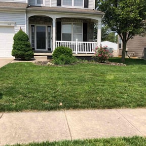 landscape maintenance by Steven Pickney reviewed on August 21, 2025