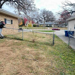 Leaf Removal by Starview lawncare reviewed on November 22, 2025