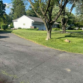 lawn care by Lawn care done right reviewed on June 13, 2023