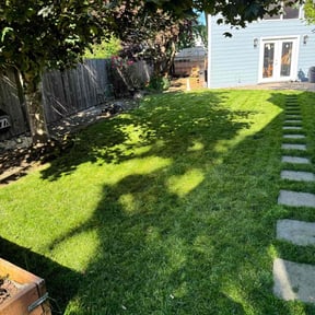 yard service by Perennial Specialty Gardens reviewed on August 17, 2025