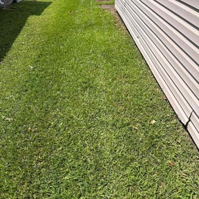 lawn care by Integrity Curb Appeal reviewed on November 9, 2017