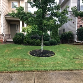 Bush Trimming by Ultimate Landscape Contractor reviewed on August 20, 2025