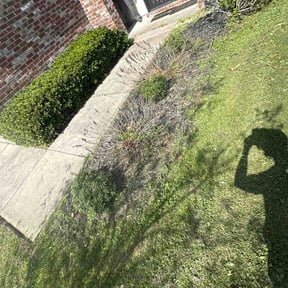 Flower Bed Weeding by Pro City Wash reviewed on March 10, 2026