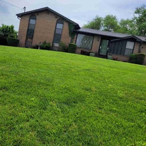 Bush Trimming by The Lawn Cypress reviewed on August 19, 2025