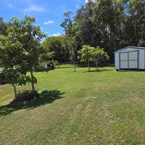 turf care by Watson Yard Works reviewed on August 17, 2025
