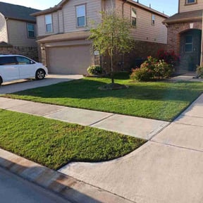 landscape maintenance by Precision Lawn Care reviewed on August 16, 2025