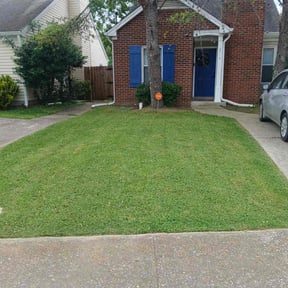 turf care by All Mowing Services reviewed on August 19, 2025