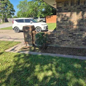 Bush Trimming by A Cut Above reviewed on May 9, 2026