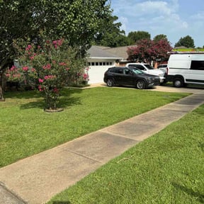 grass maintenance by Marvelous Carmichael Landscape reviewed on August 17, 2025