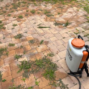 Weeding by Lewis lawn care and landscaping reviewed on August 17, 2025