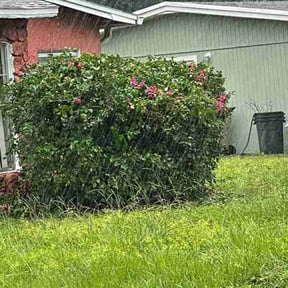 Bush Trimming by New Direction Lawn Care LLC reviewed on August 20, 2025