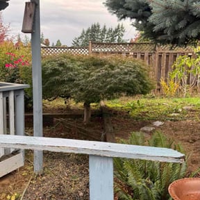 Bush Trimming by All Around the House reviewed on November 21, 2025