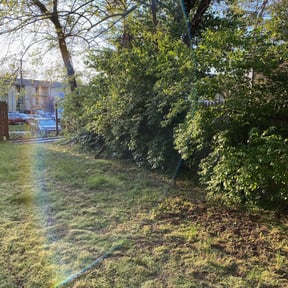 Bush Trimming by Tammy Becker Pool and Lawn Care reviewed on August 18, 2025