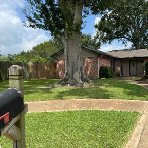 landscaping services by The Trusted Edge reviewed on August 15, 2025