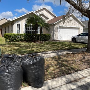 Bush Trimming by Wilson's Lawn Care reviewed on August 16, 2025
