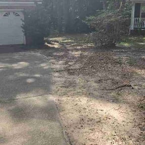 Leaf Removal by Central Valley Yard Services reviewed on July 4, 2026